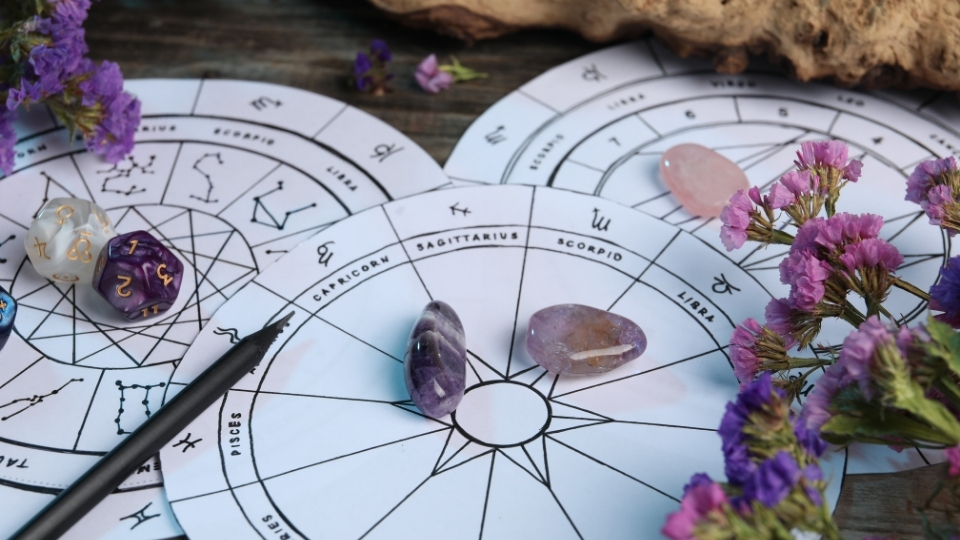 Vedik Astroloji Eğitimi, Vedik Astroloji Eğitimi Fiyatları, Vedik Astroloji Kursu, Vedik Astroloji Eğitimi Online, Vedik Astroloji Kursu Online